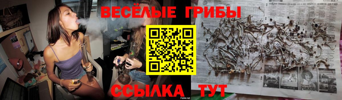 Майский  Псилоцибиновые грибы MAGIC MUSHROOMS  Вход с VPN 
